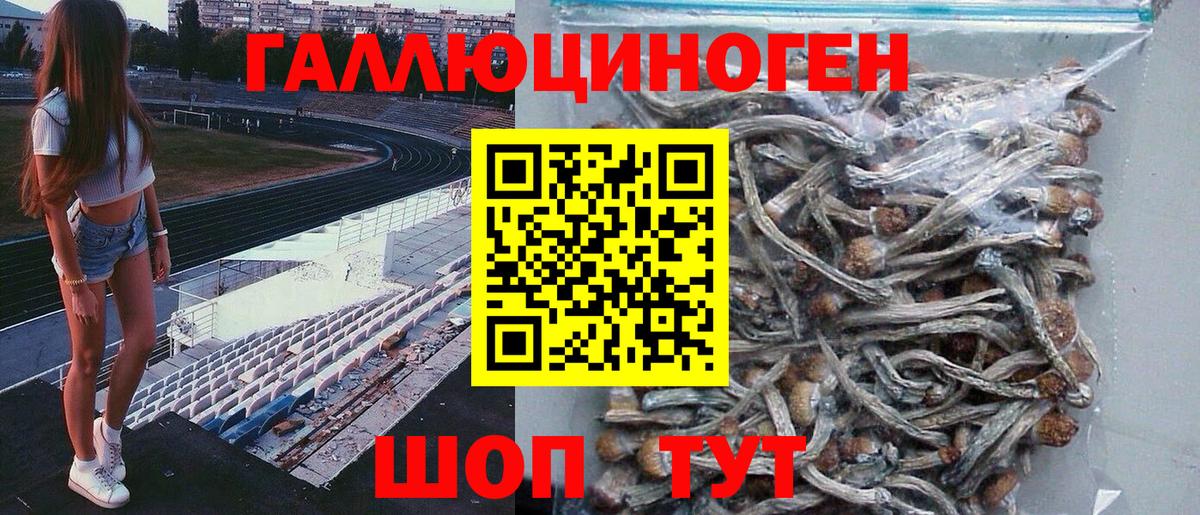 Отрадный  Псилоцибиновые грибы ЛСД  Псилоцибиновые грибы Magic Shrooms  Вход с VPN 