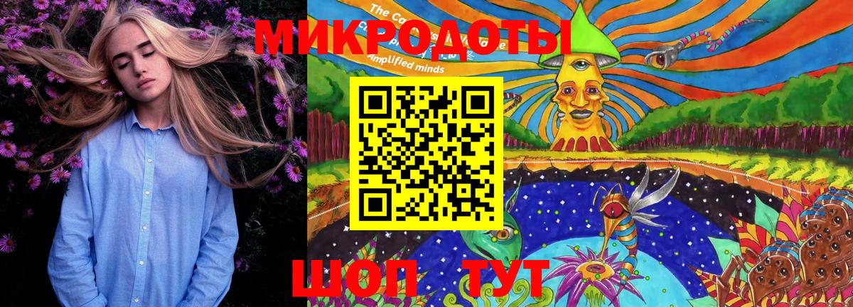 Галлюциногенные грибы Psilocybine cubensis Отрадный
